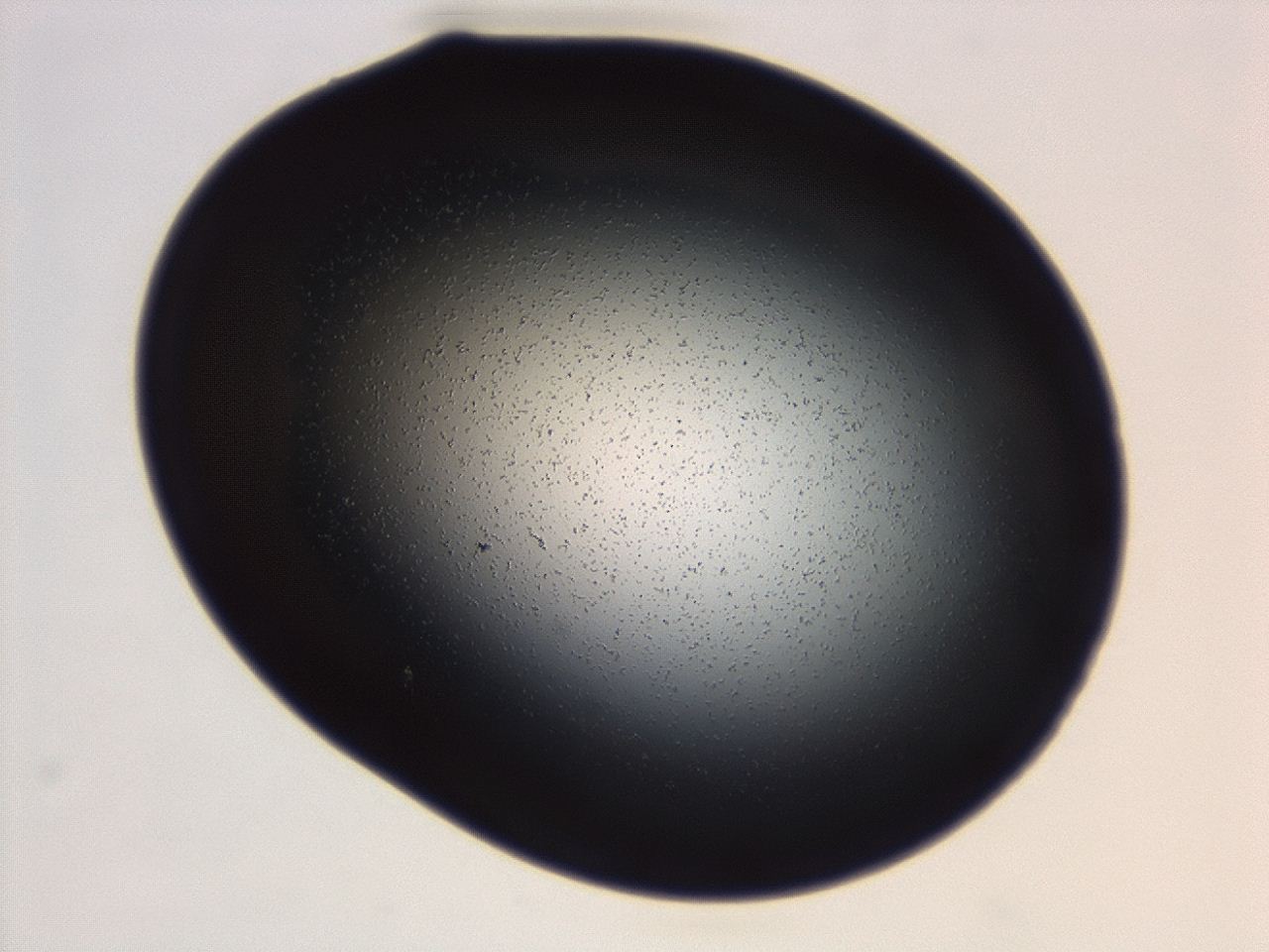 04g7_B5_ImagerDefaults_0.jpg