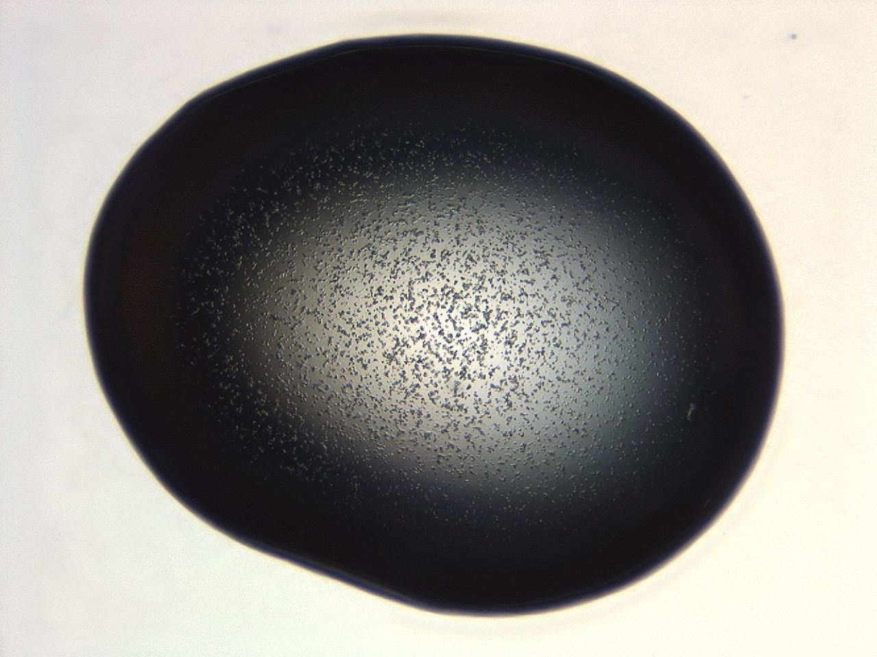 04g7_B6_ImagerDefaults_0.jpg