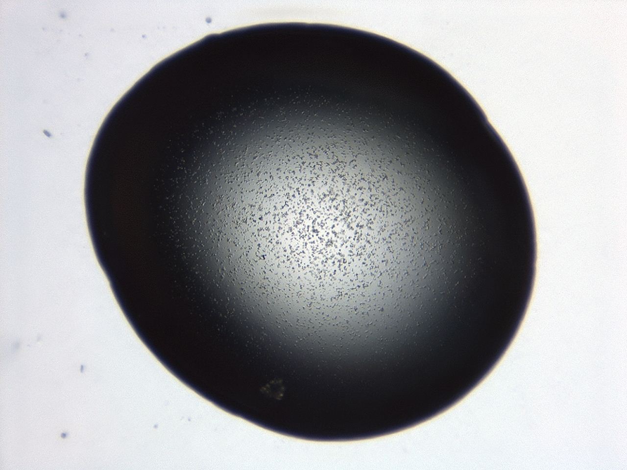04g7_B7_ImagerDefaults_0.jpg