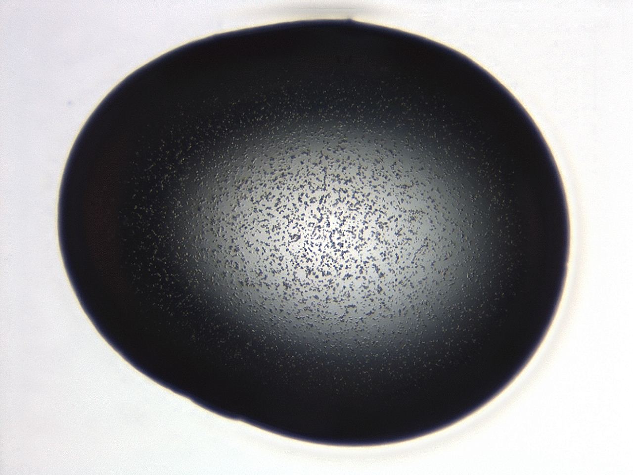 04g7_B8_ImagerDefaults_0.jpg