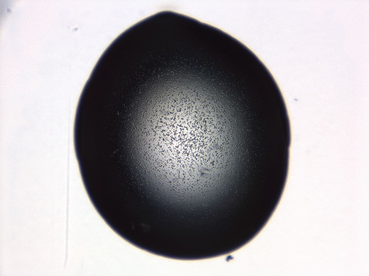 04g7_B9_ImagerDefaults_0.jpg