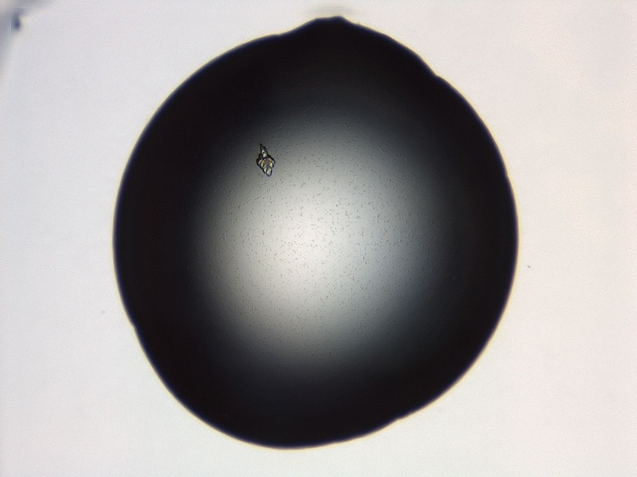 04g7_B10_ImagerDefaults_0.jpg