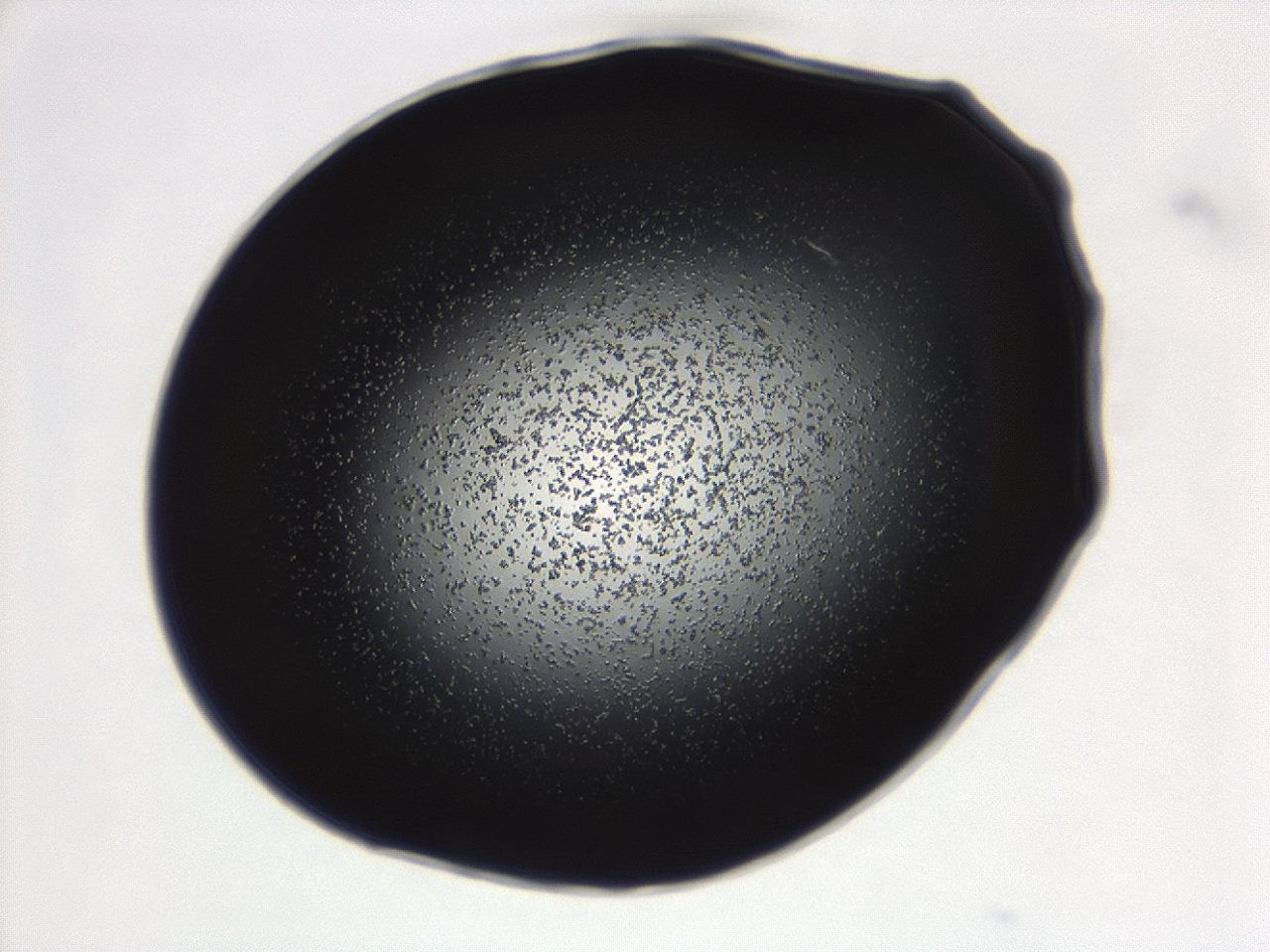 04g7_B12_ImagerDefaults_0.jpg