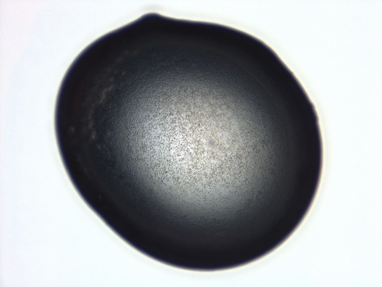 04g7_C1_ImagerDefaults_3.jpg