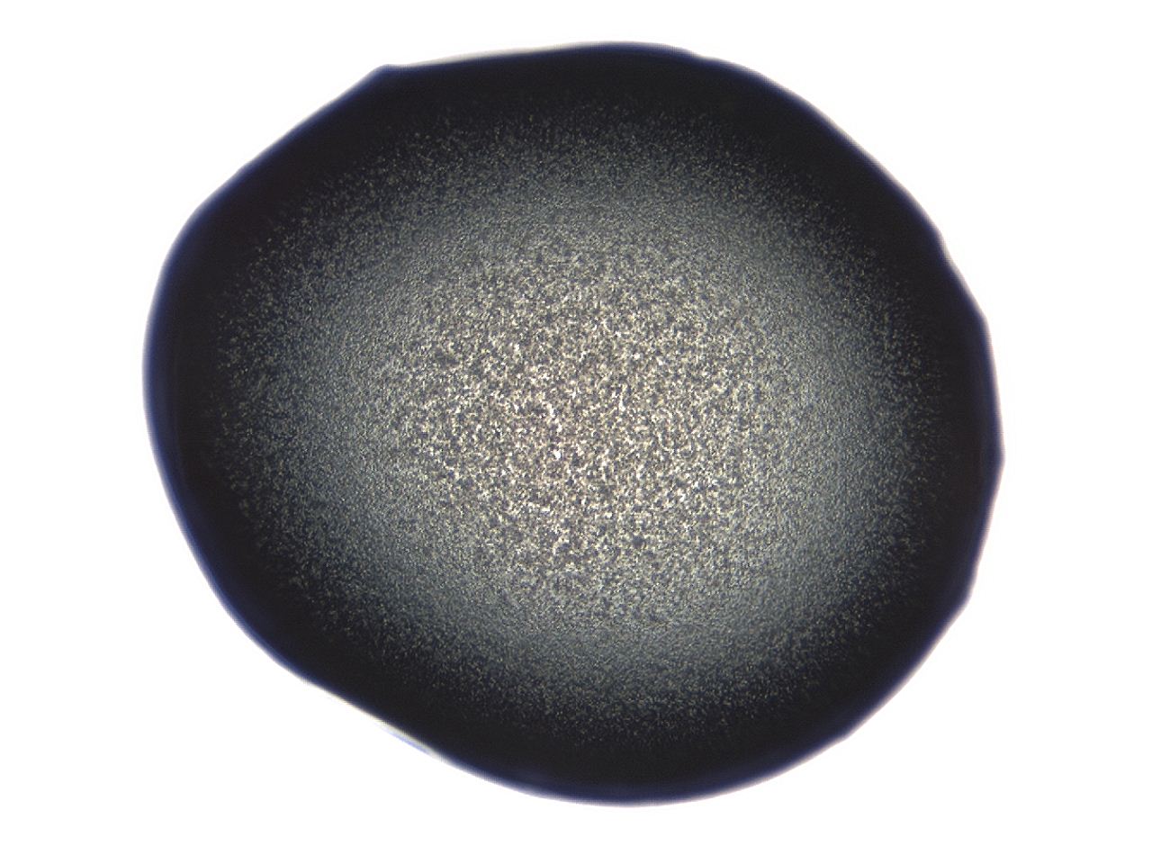04g7_D3_ImagerDefaults_3.jpg