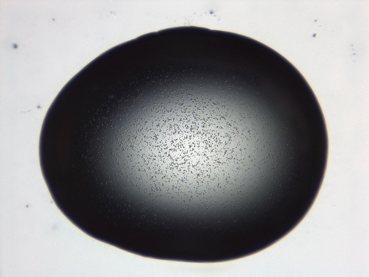 04g7_D4_ImagerDefaults_0.jpg