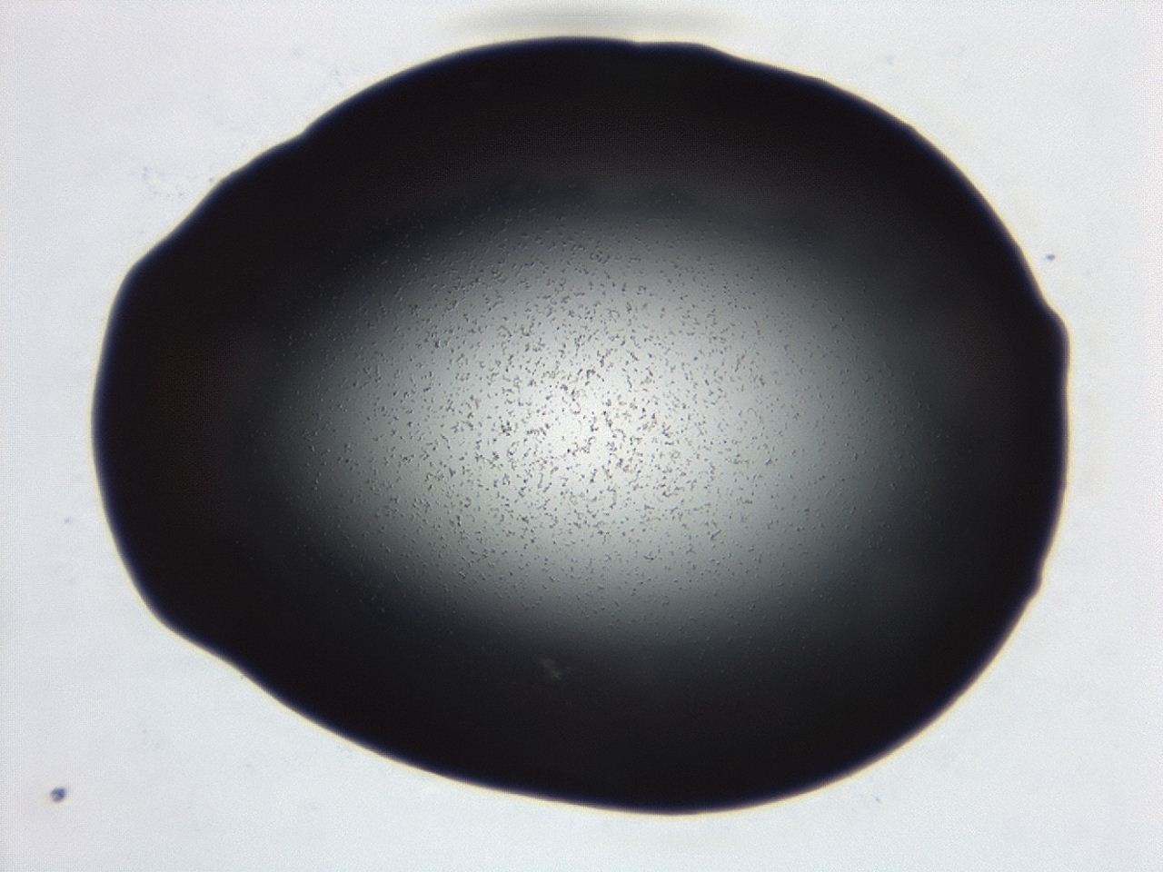04g7_D5_ImagerDefaults_0.jpg