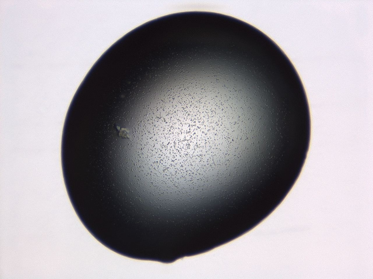 04g7_D6_ImagerDefaults_0.jpg
