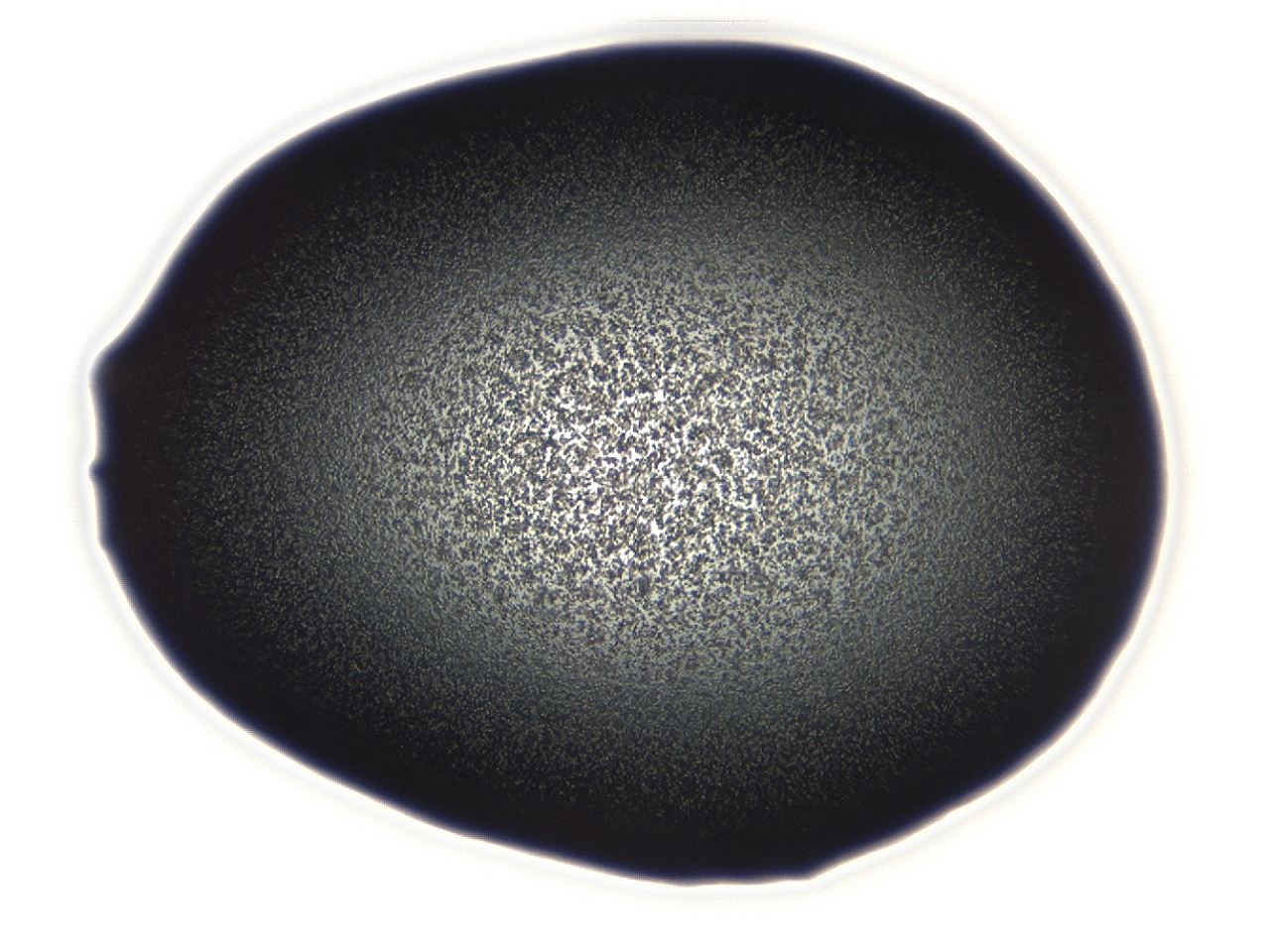 04g7_D7_ImagerDefaults_3.jpg