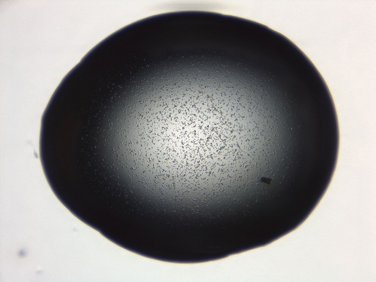 04g7_D8_ImagerDefaults_0.jpg