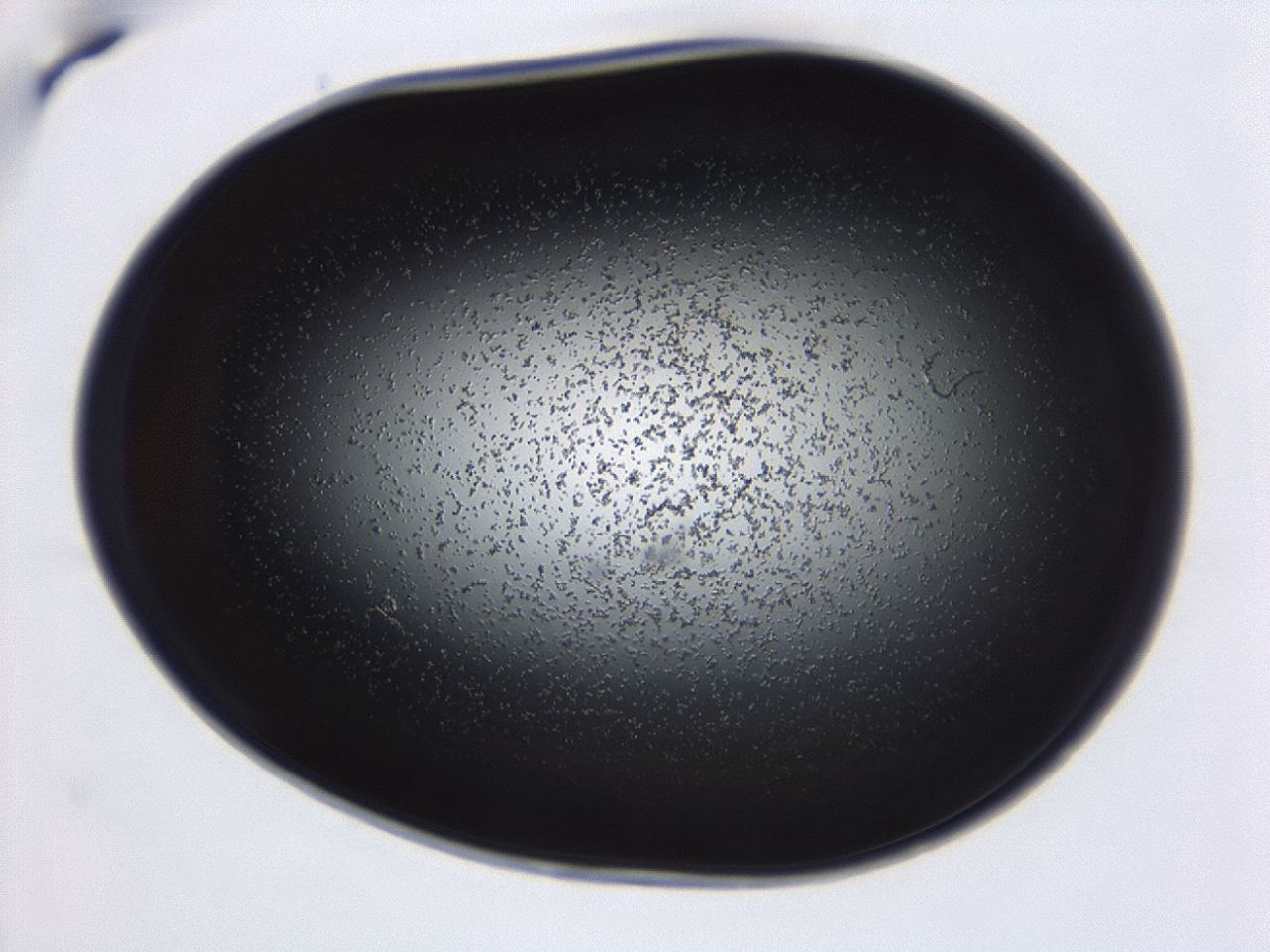 04g7_D10_ImagerDefaults_0.jpg