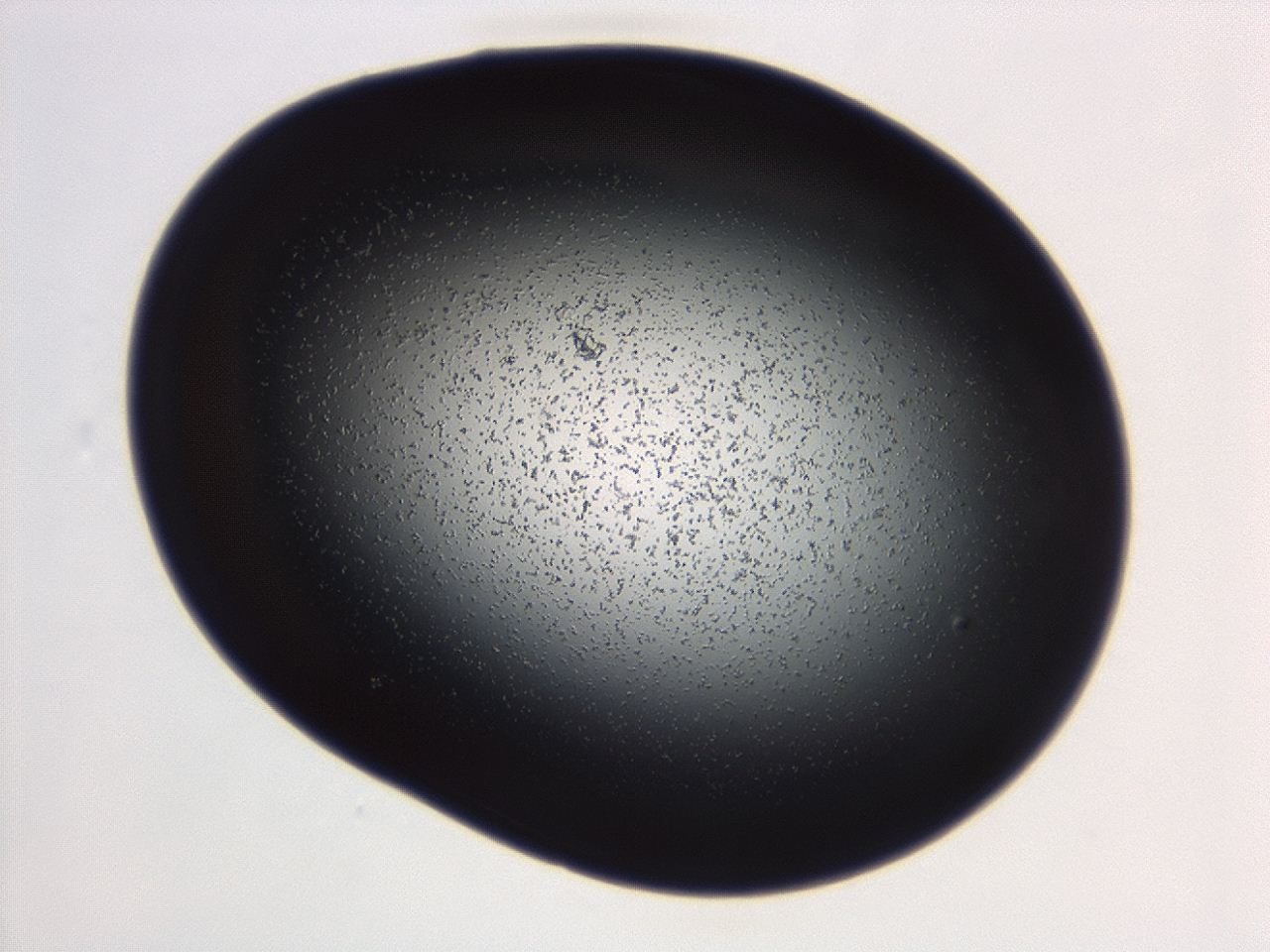 04g7_C3_ImagerDefaults_0.jpg