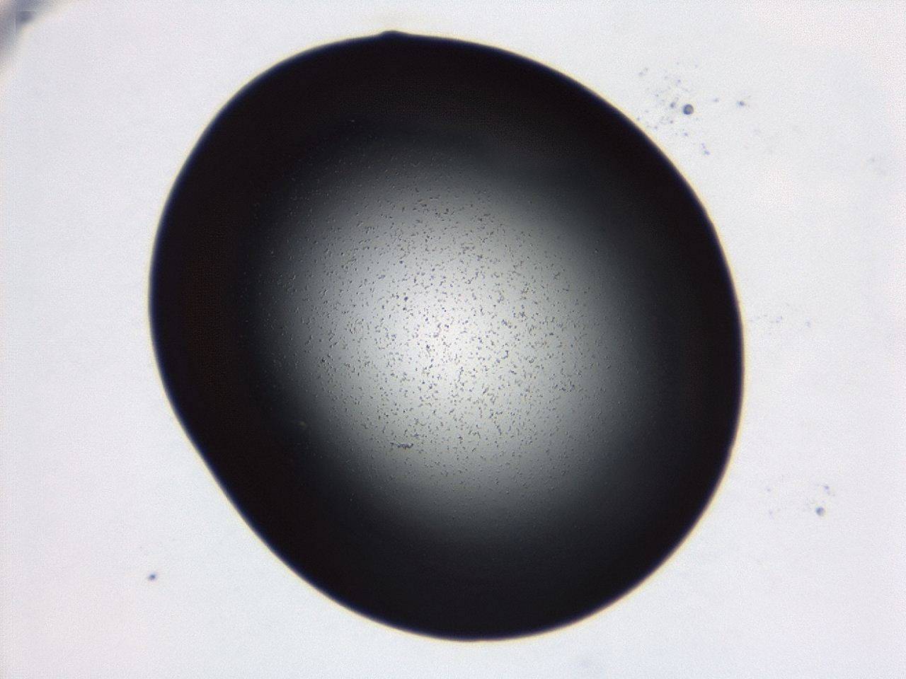 04g7_C4_ImagerDefaults_0.jpg