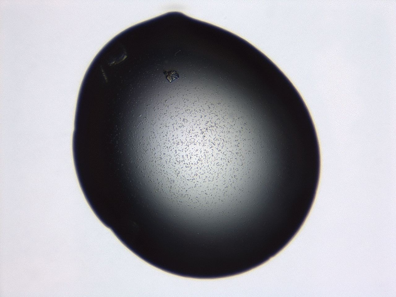 04g7_C5_ImagerDefaults_0.jpg