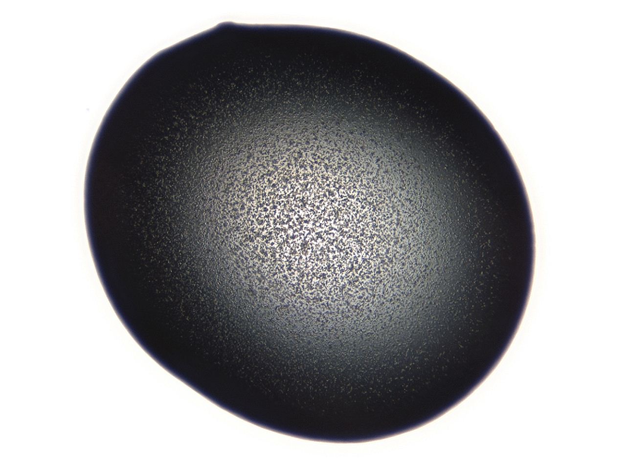 04g7_C6_ImagerDefaults_3.jpg