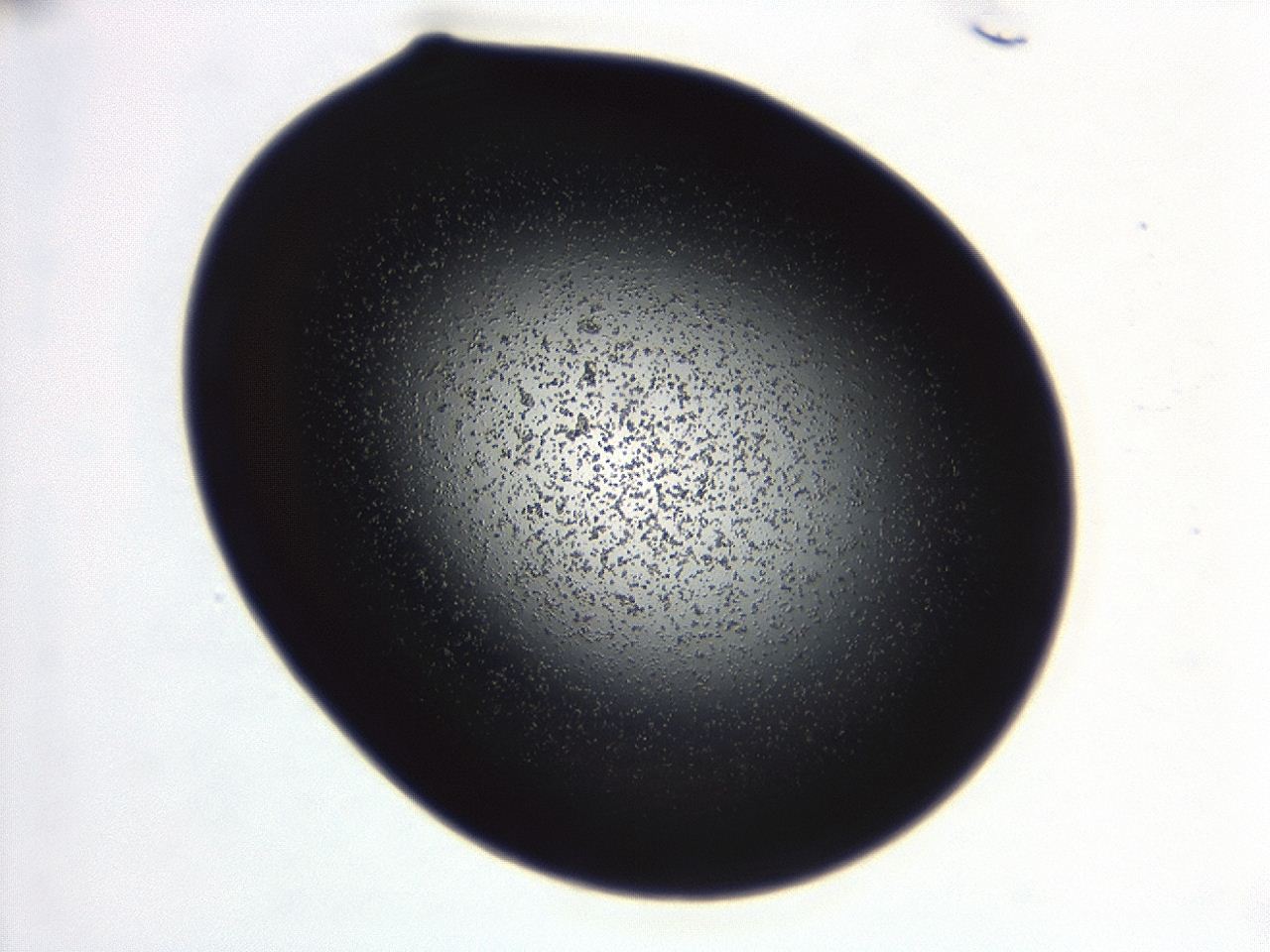 04g7_C7_ImagerDefaults_0.jpg