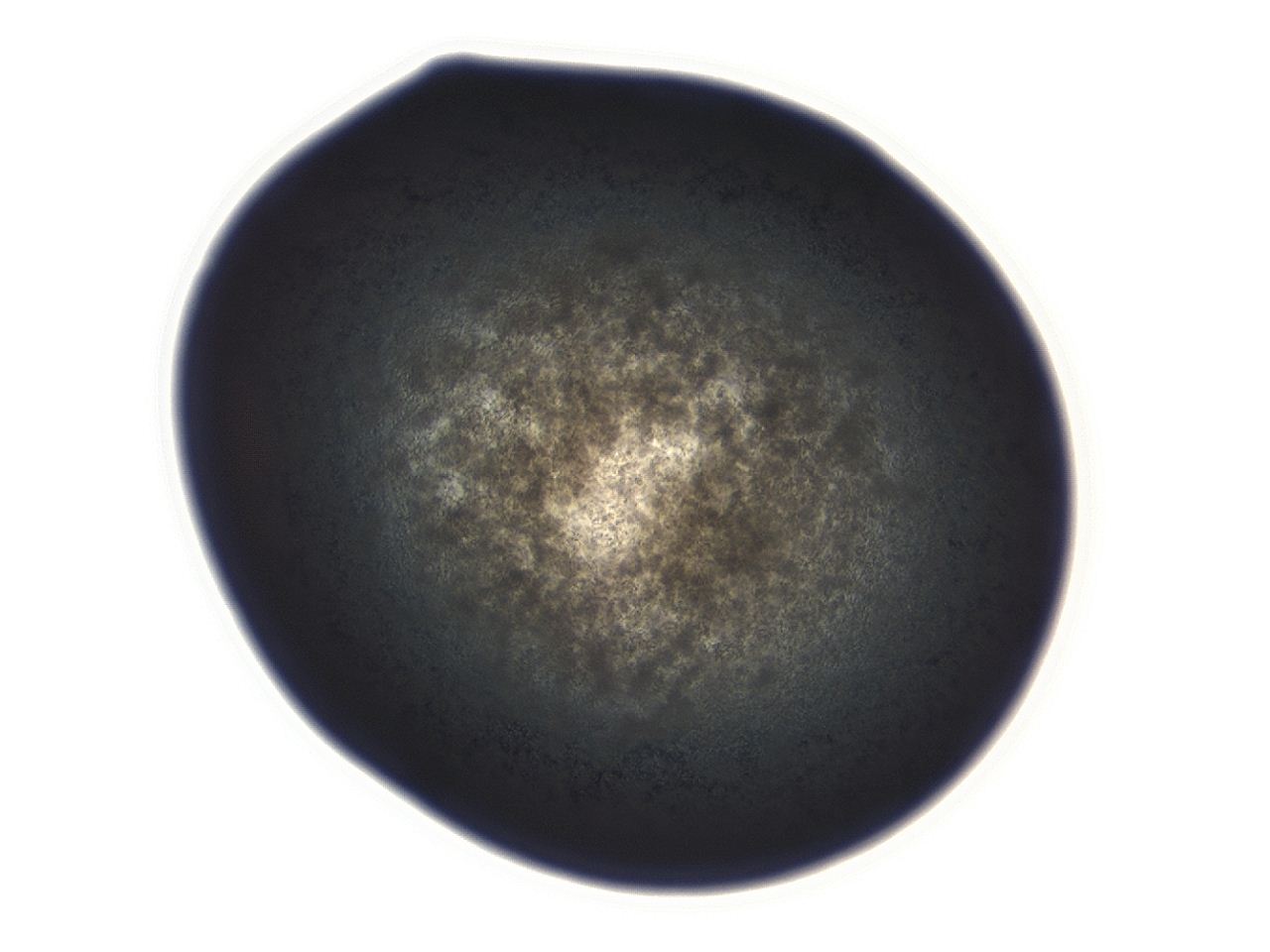 04g7_E1_ImagerDefaults_3.jpg