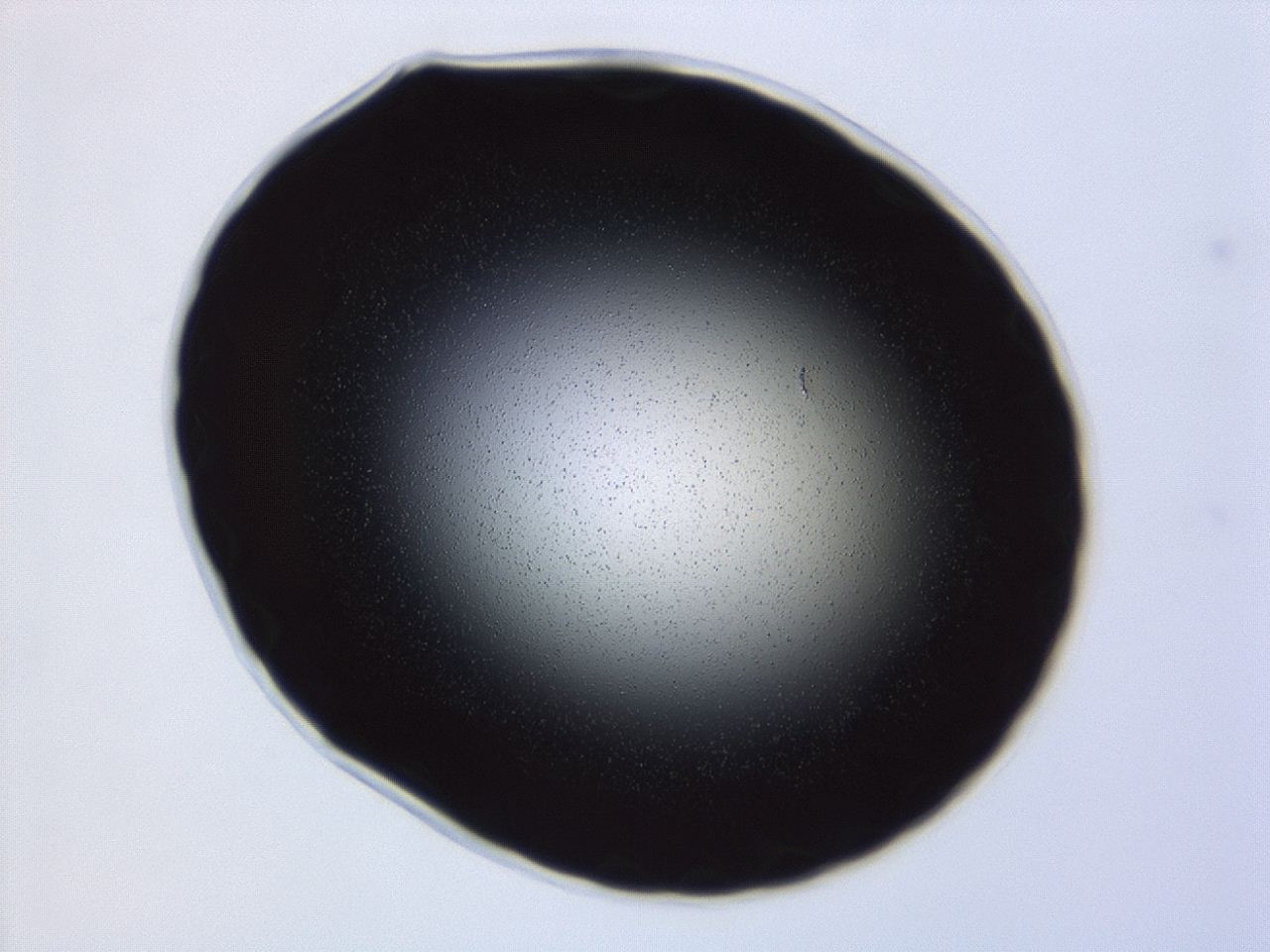 04g7_E2_ImagerDefaults_0.jpg