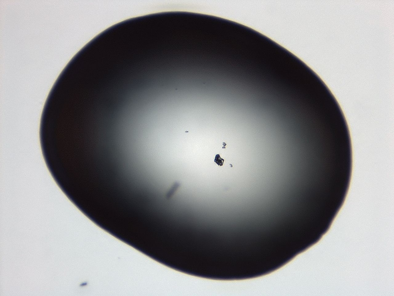 04g7_E5_ImagerDefaults_0.jpg