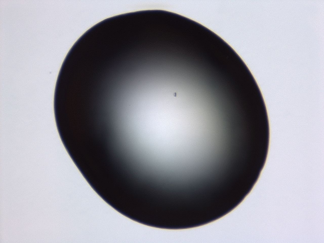 04g7_E6_ImagerDefaults_0.jpg