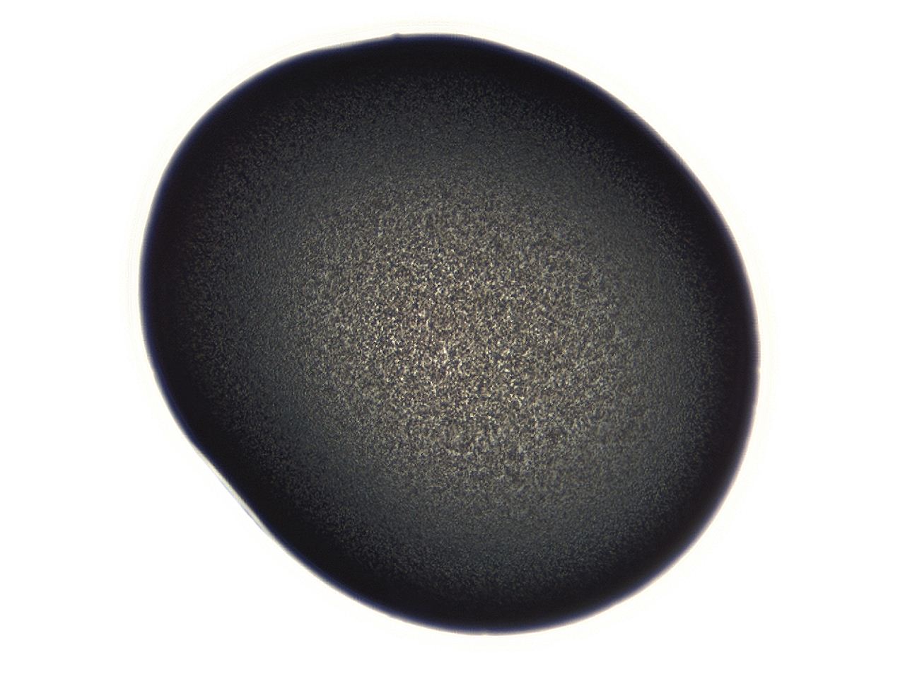 04g7_E7_ImagerDefaults_3.jpg