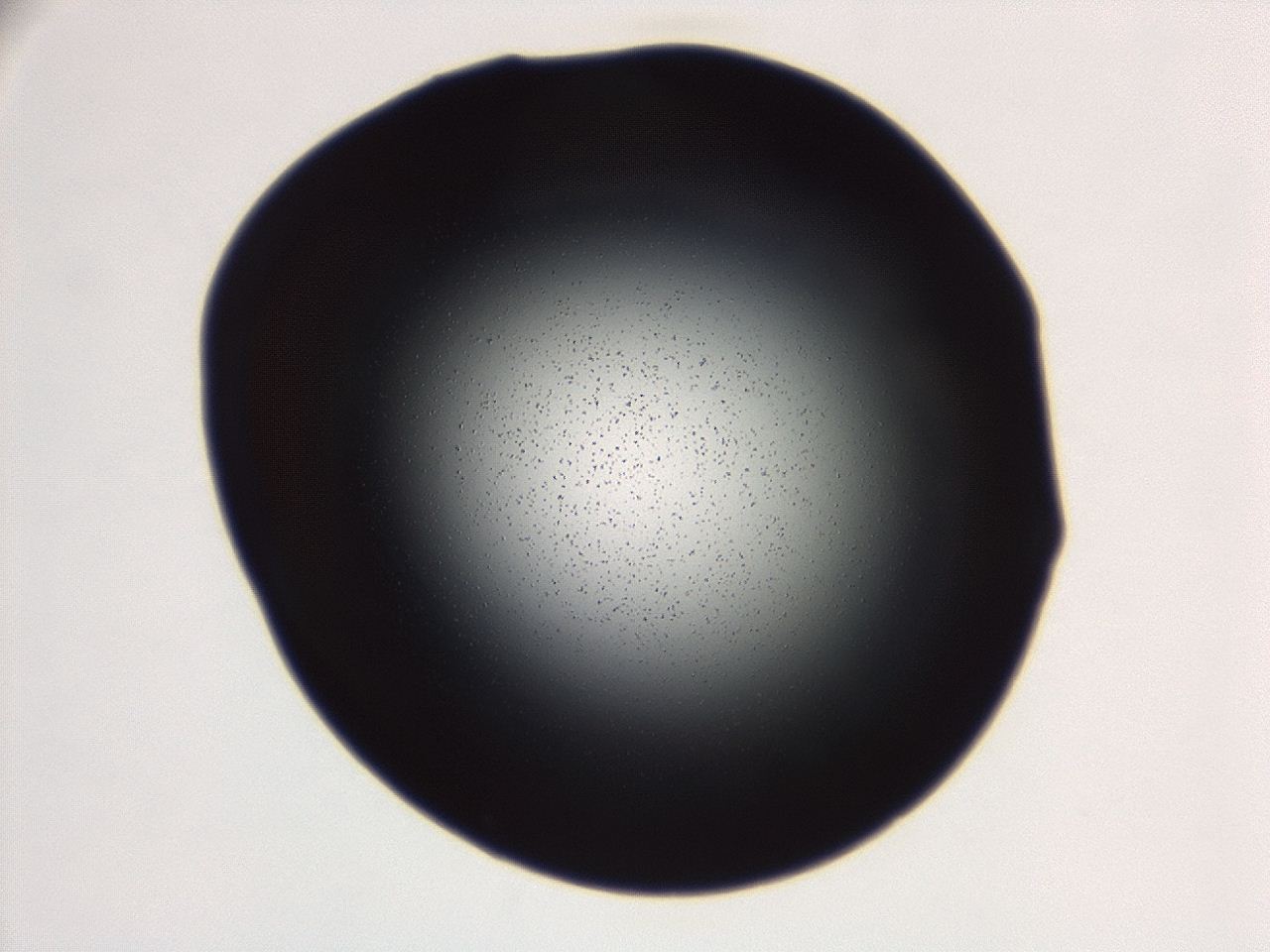 04g7_E8_ImagerDefaults_0.jpg