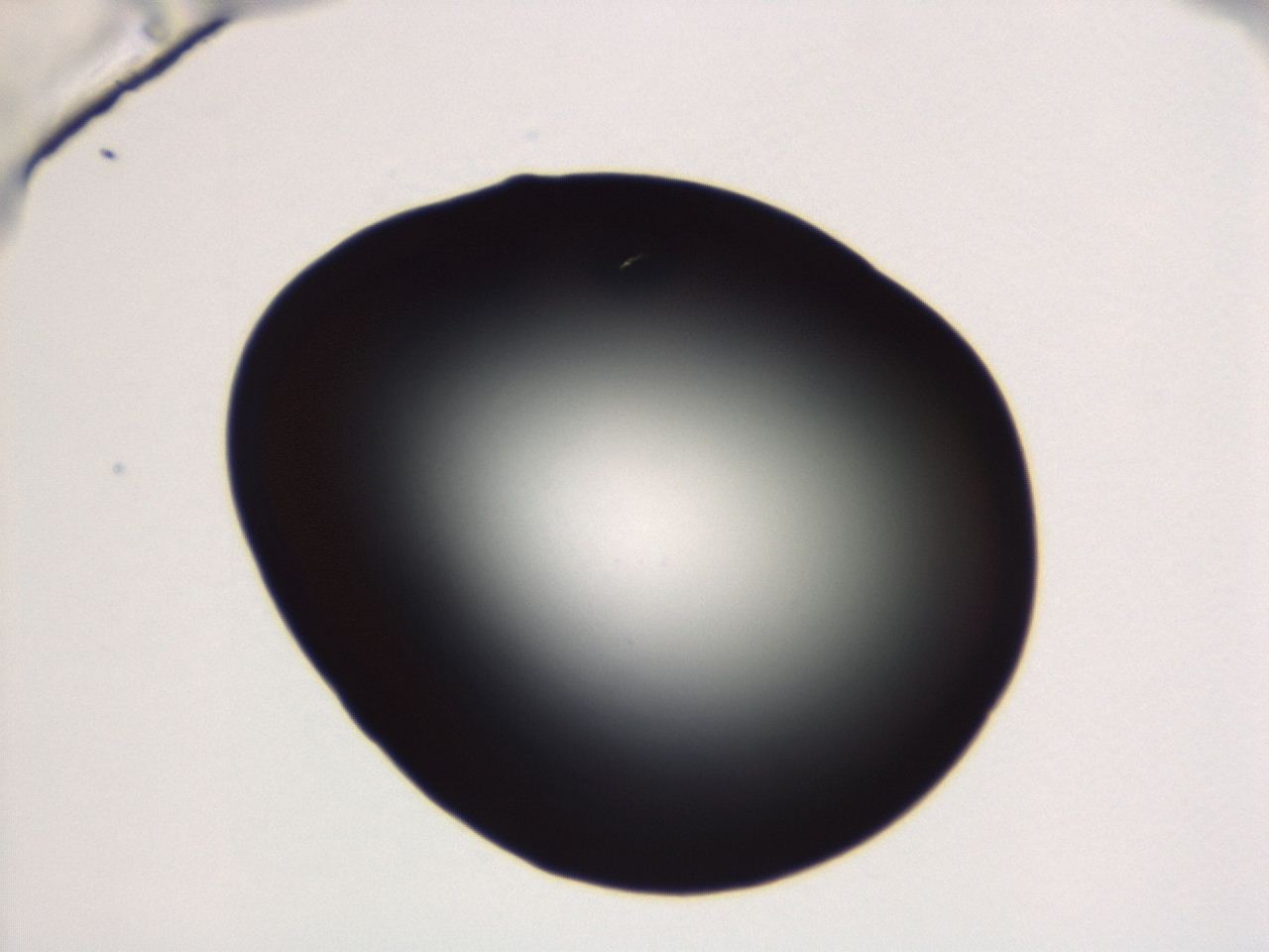 04g7_E9_ImagerDefaults_0.jpg