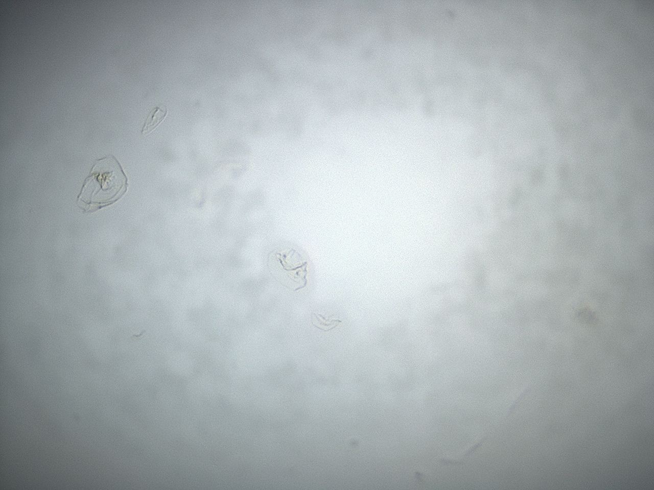 04g7_E10_ImagerDefaults_3.jpg