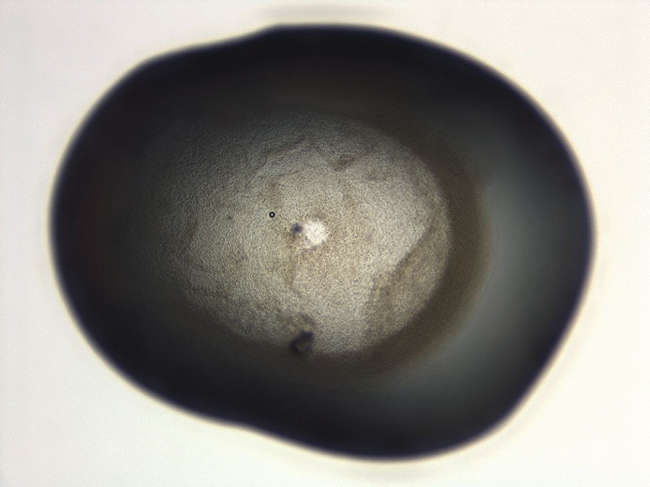 04g7_F1_ImagerDefaults_3.jpg