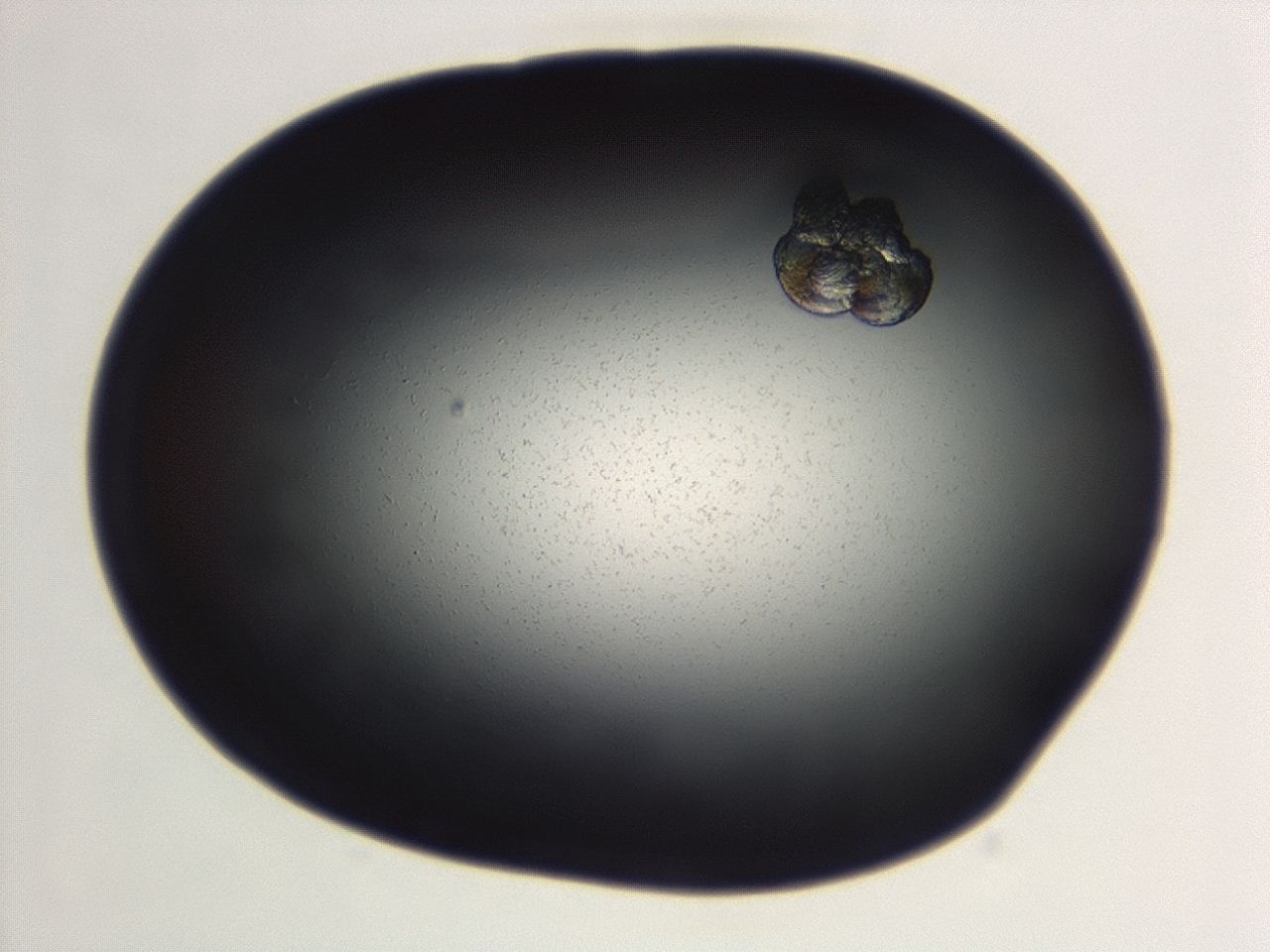 04g7_F3_ImagerDefaults_0.jpg