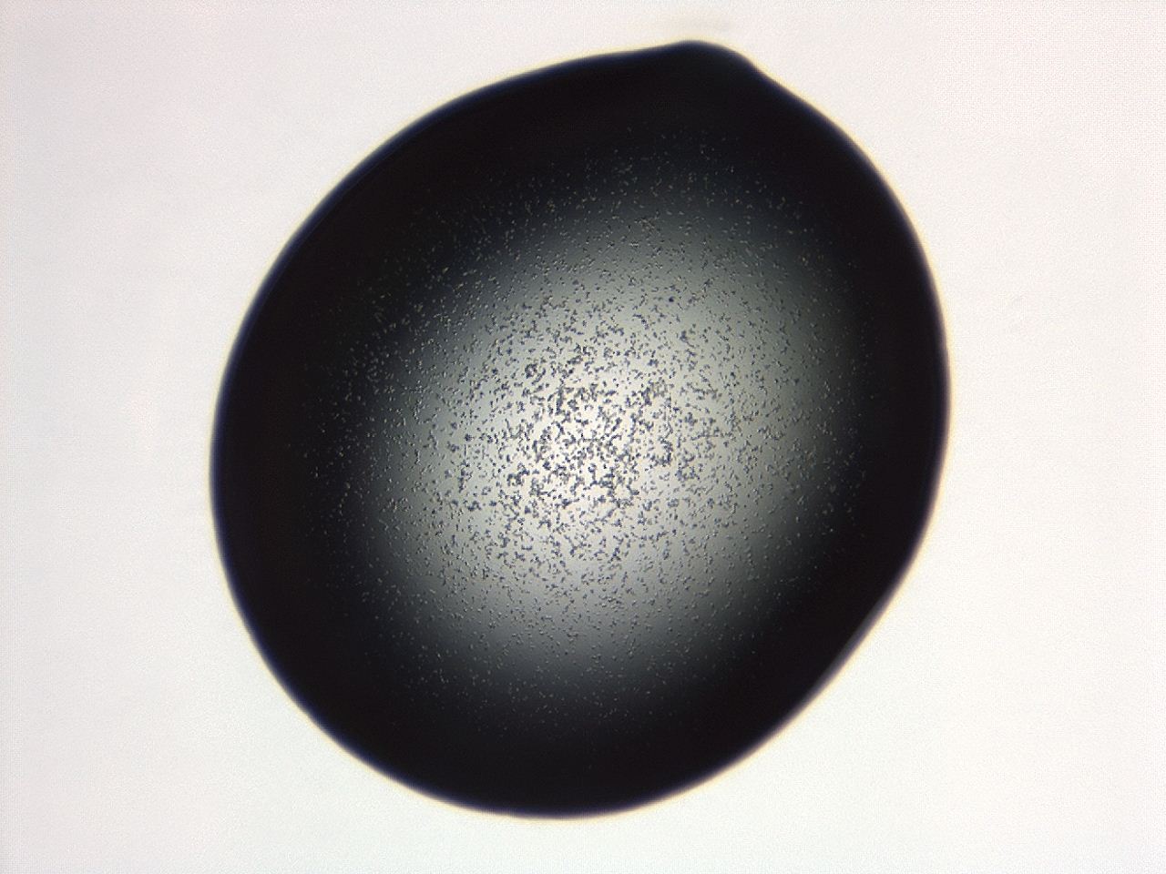 04g7_F5_ImagerDefaults_0.jpg