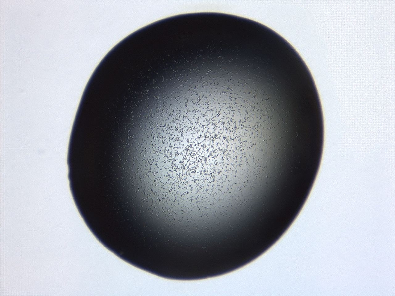 04g7_F6_ImagerDefaults_0.jpg