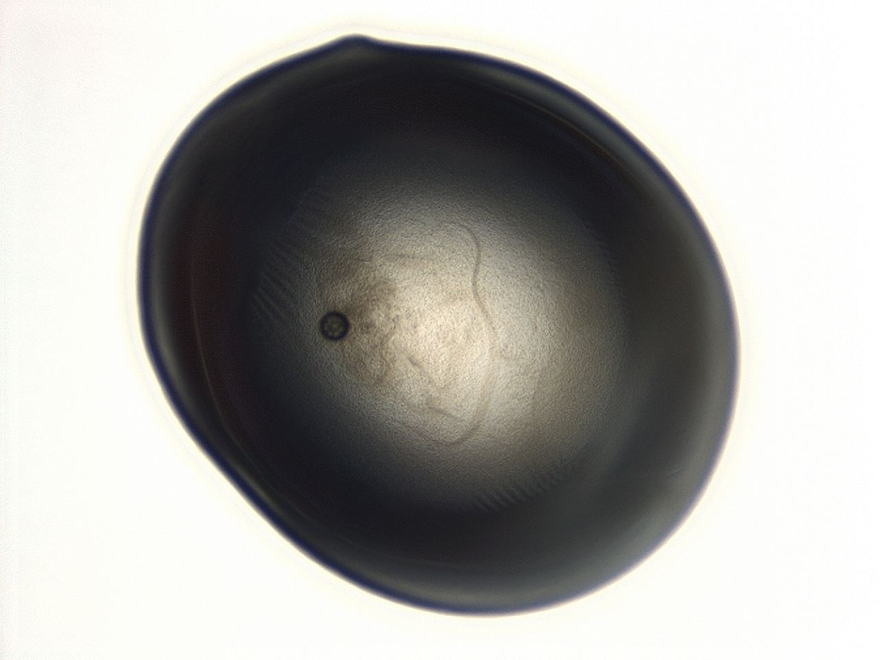 04g7_F7_ImagerDefaults_3.jpg