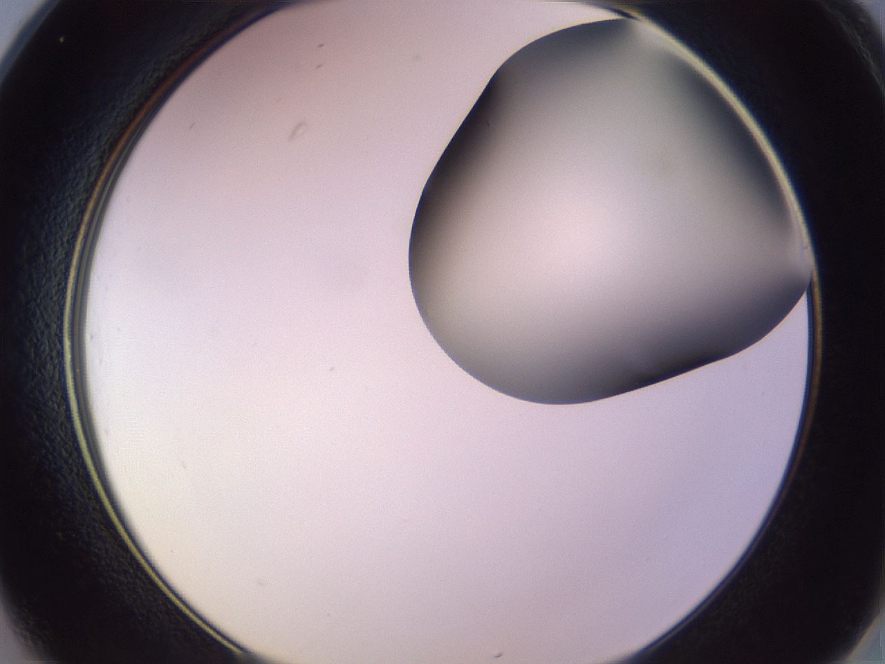 folderID684_plateID2684_batchID13702_wellNum25_profileID1_d2_r218008_ef.jpg