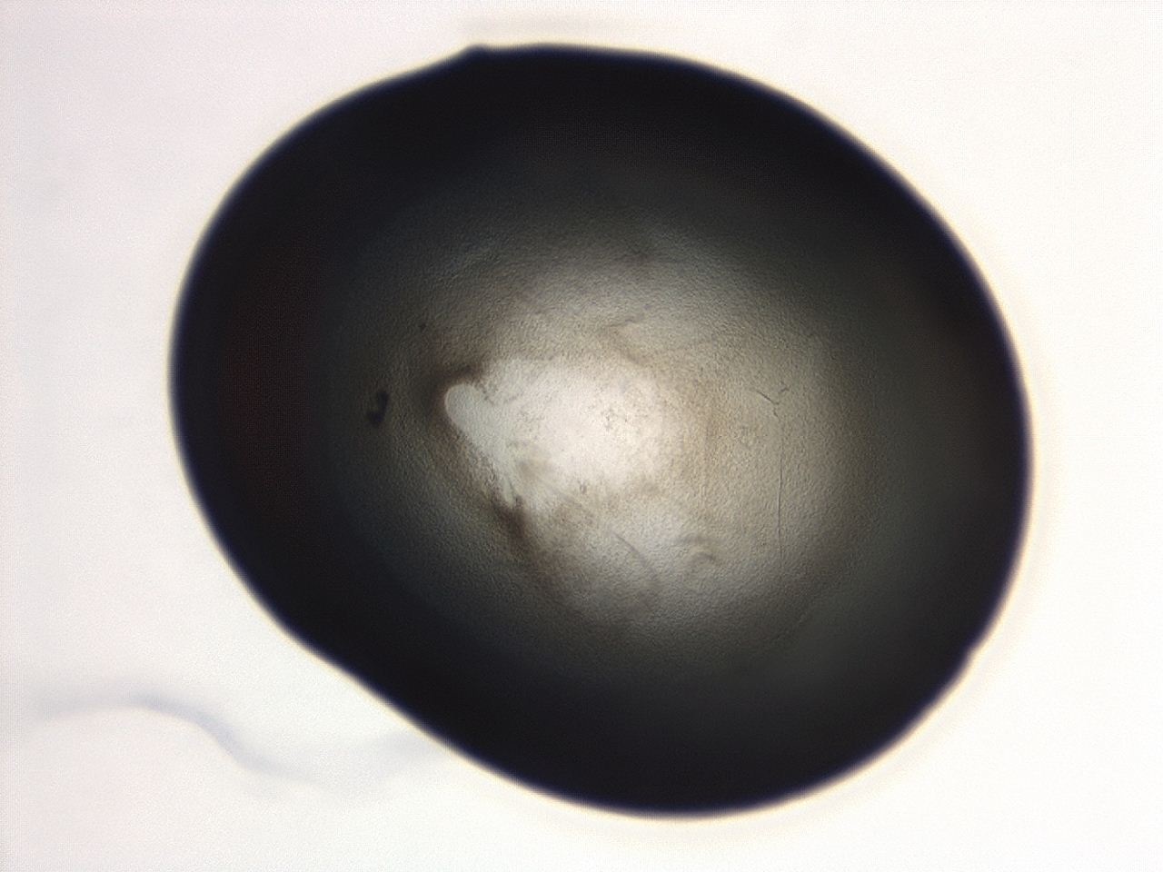 04g7_F8_ImagerDefaults_3.jpg