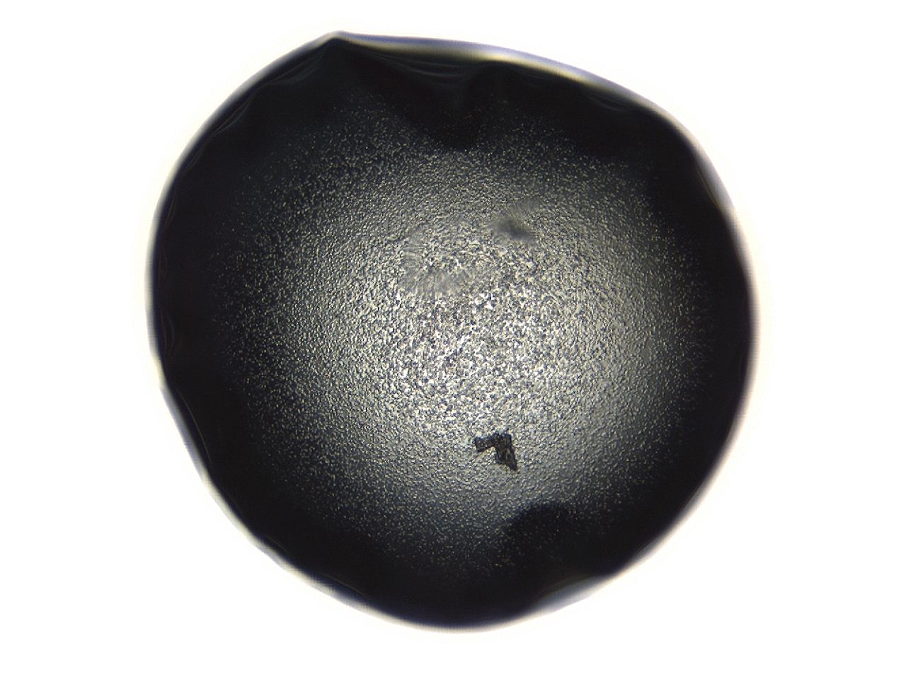 04g7_F9_ImagerDefaults_3.jpg