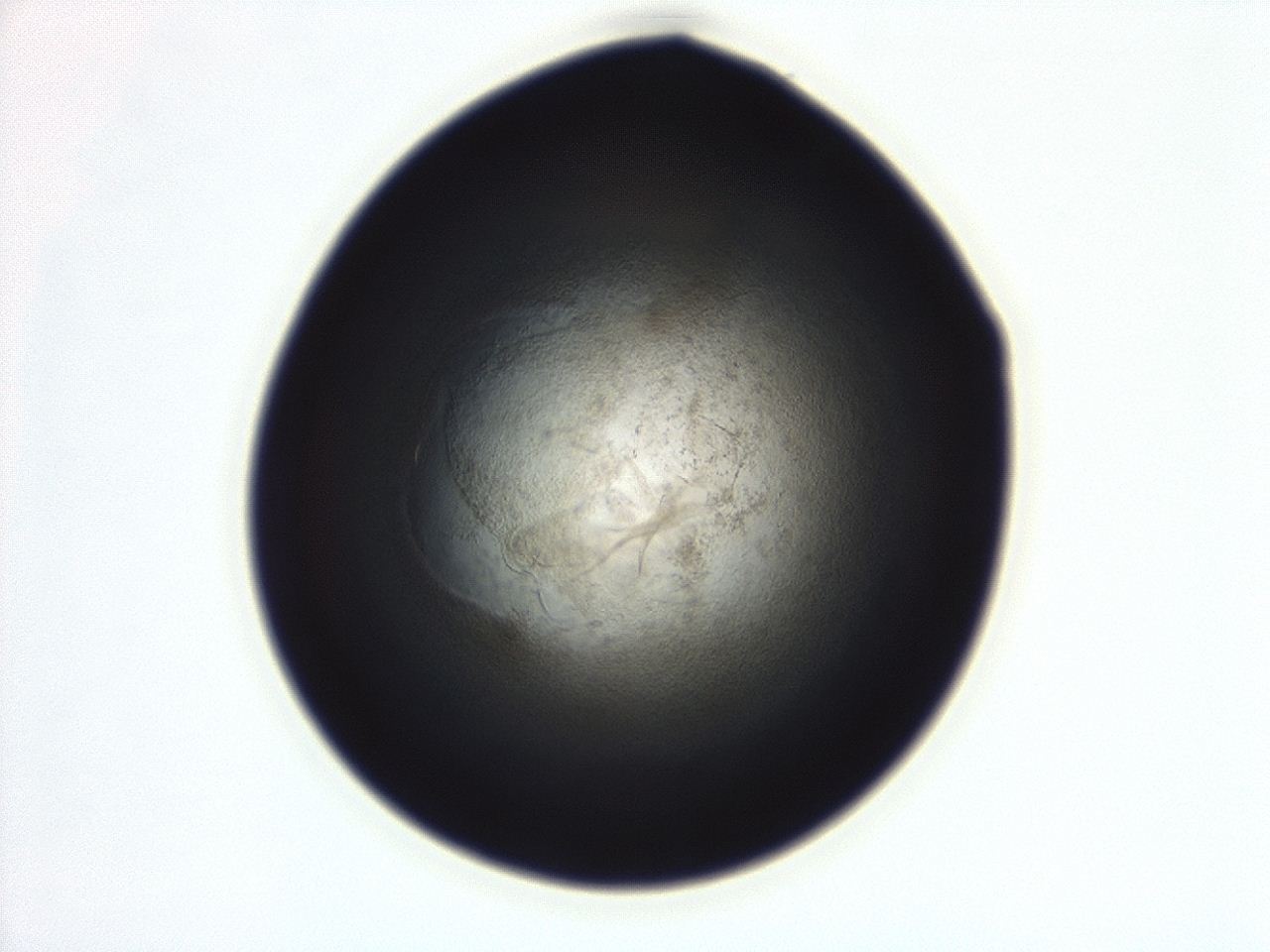 04g7_F10_ImagerDefaults_3.jpg