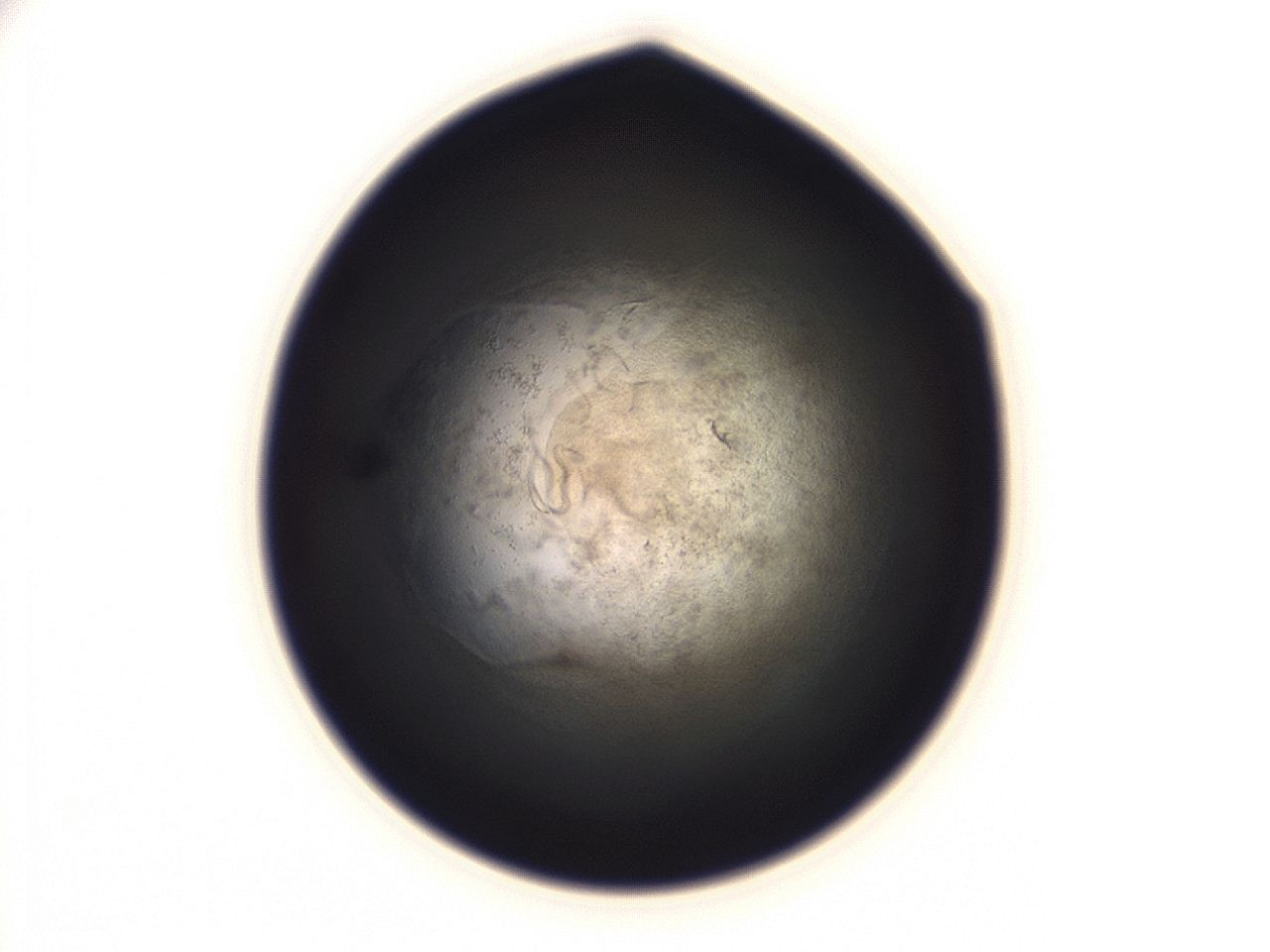 04g7_F11_ImagerDefaults_3.jpg