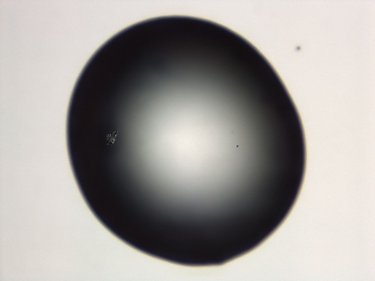 04g7_G1_ImagerDefaults_0.jpg