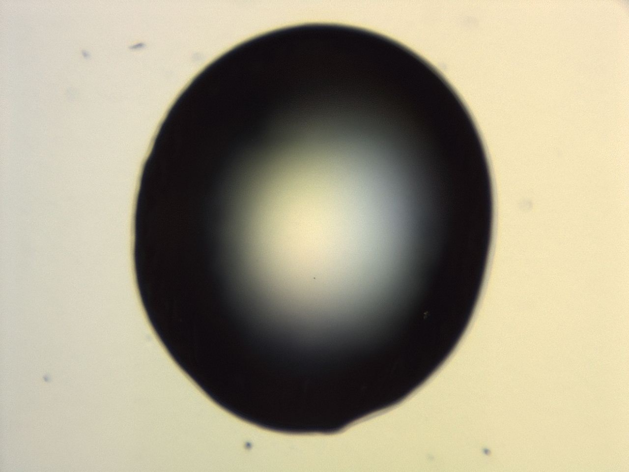 04g7_G2_ImagerDefaults_0.jpg