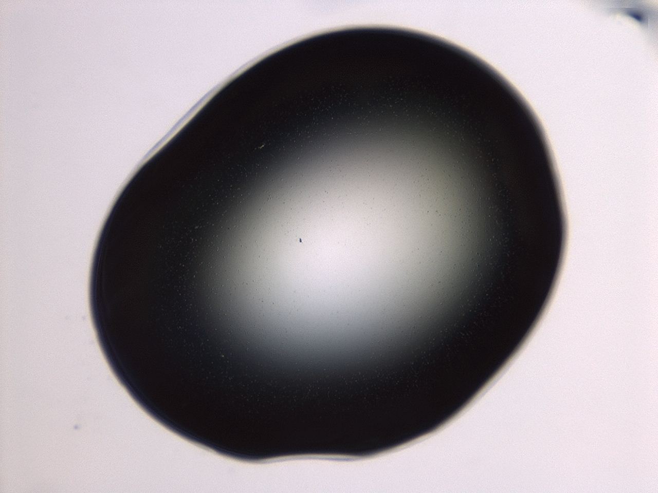 04g7_G3_ImagerDefaults_0.jpg