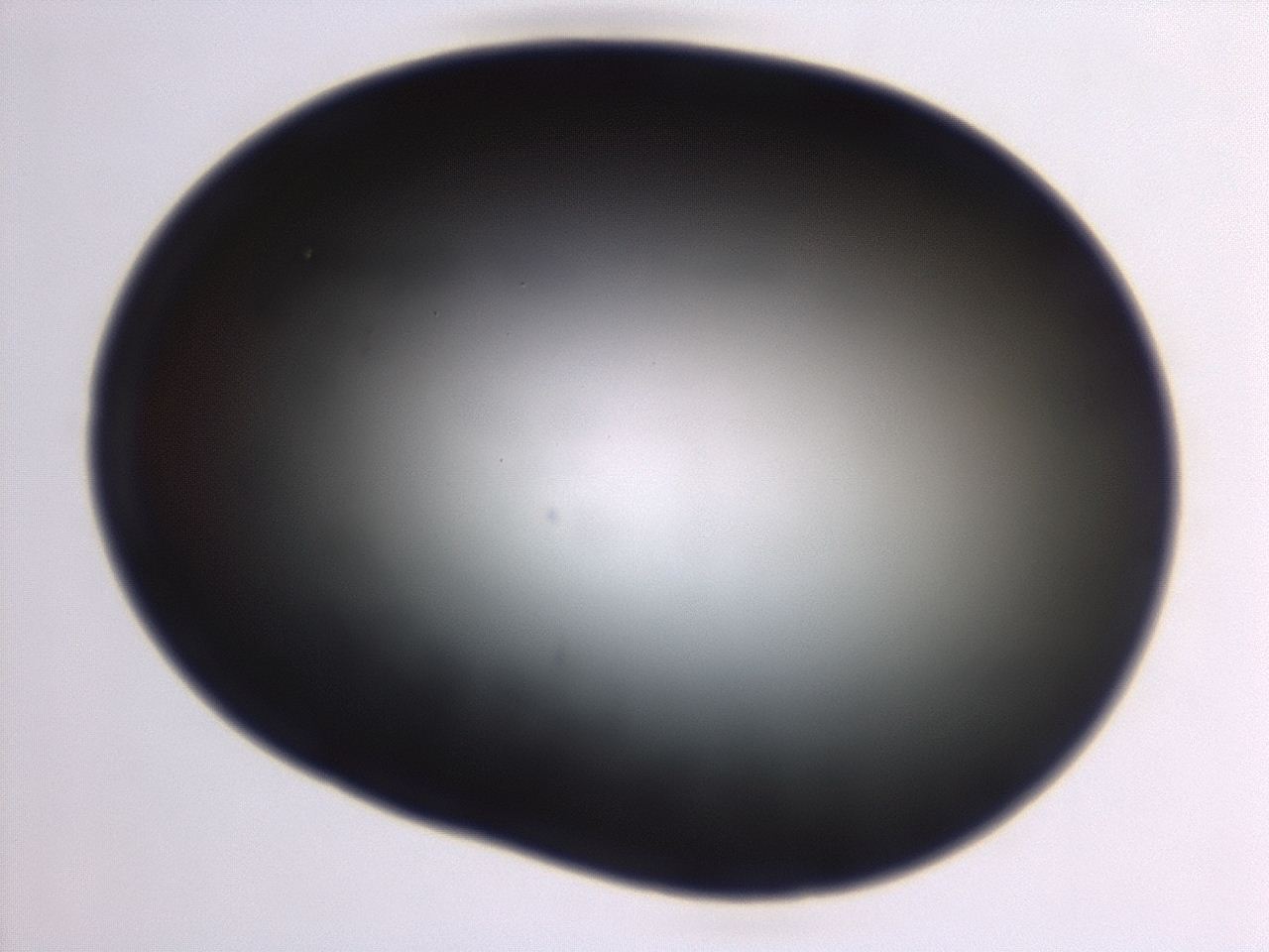 04g7_G7_ImagerDefaults_0.jpg