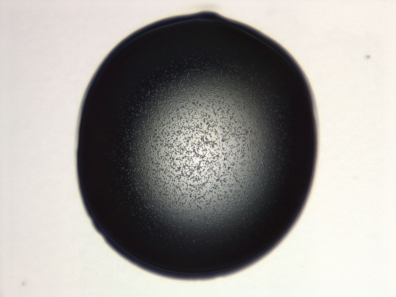 04g7_G9_ImagerDefaults_3.jpg