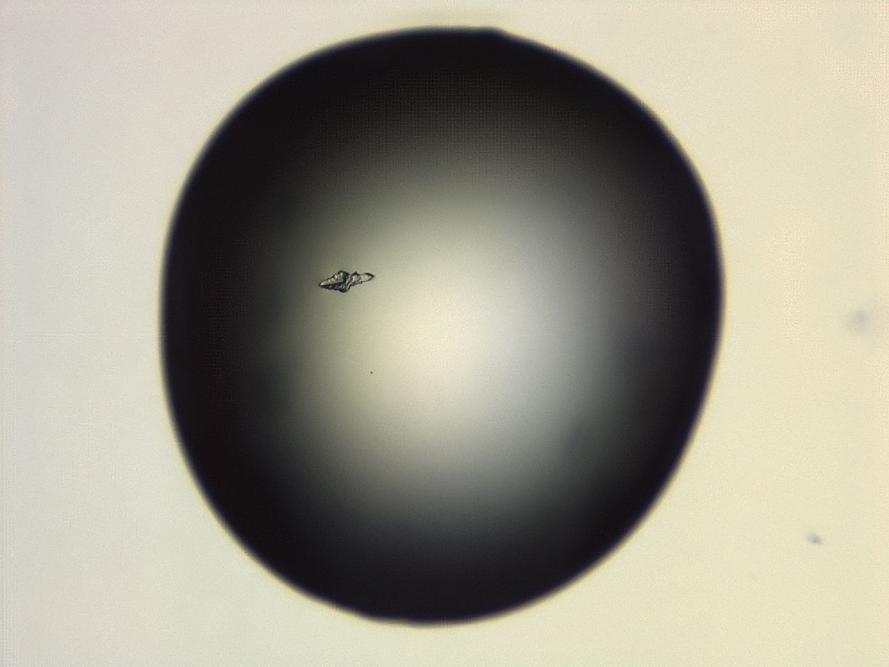 04g7_G10_ImagerDefaults_0.jpg