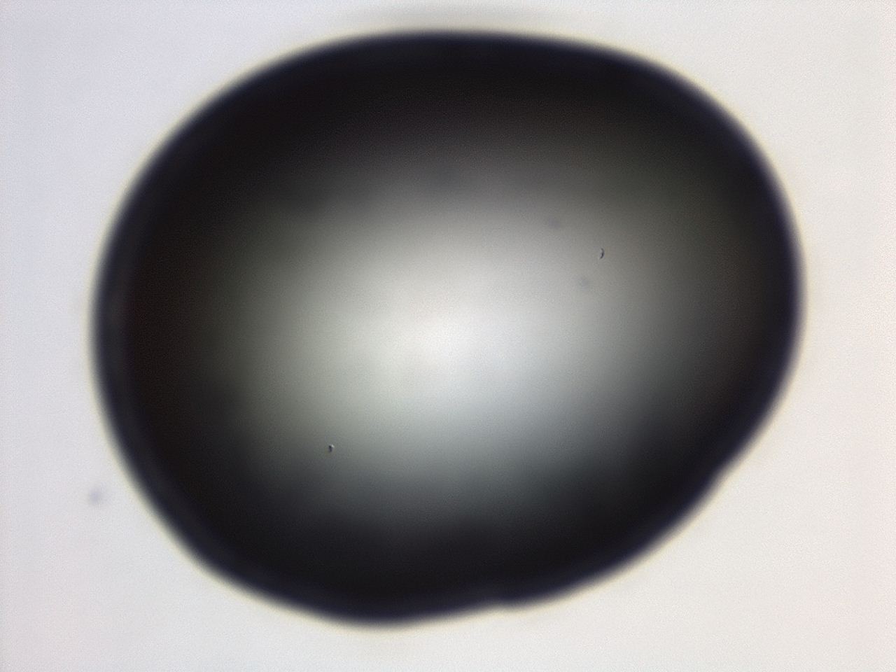 04g7_G12_ImagerDefaults_0.jpg
