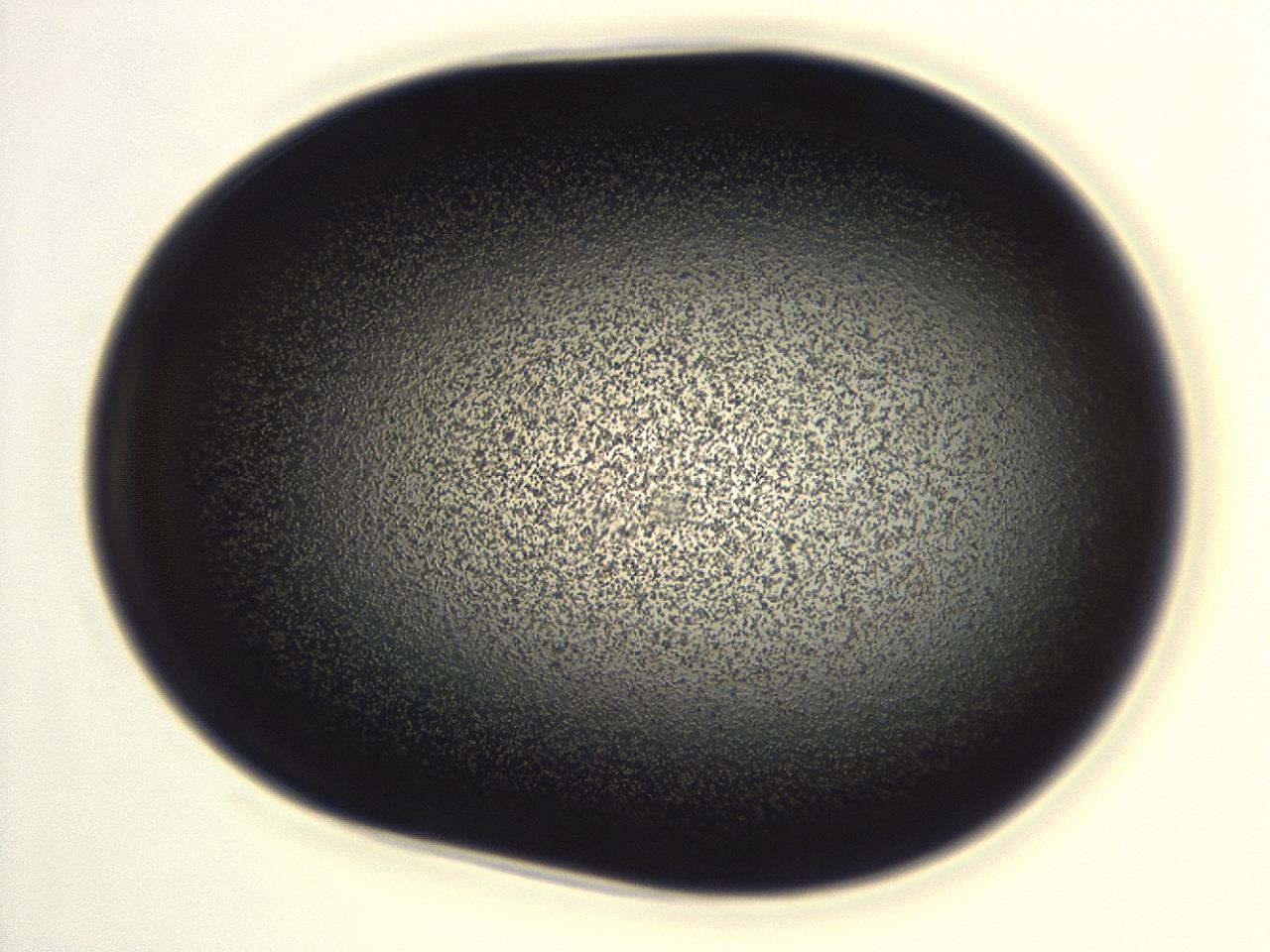 04g7_H2_ImagerDefaults_3.jpg
