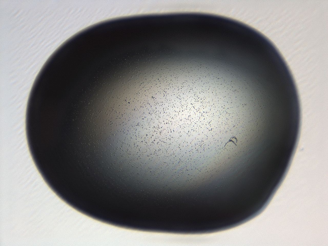 04g7_H4_ImagerDefaults_0.jpg