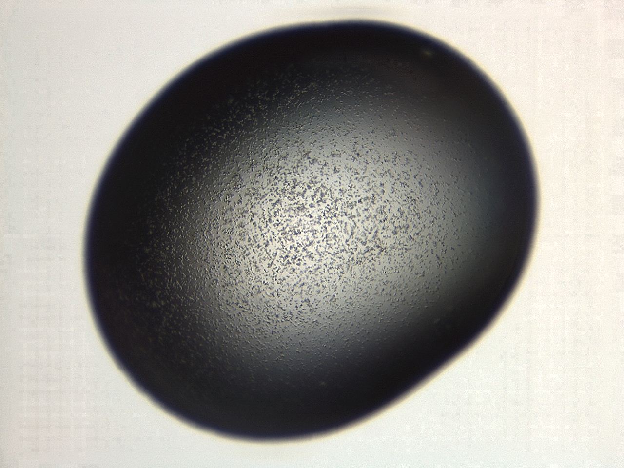04g7_H7_ImagerDefaults_3.jpg