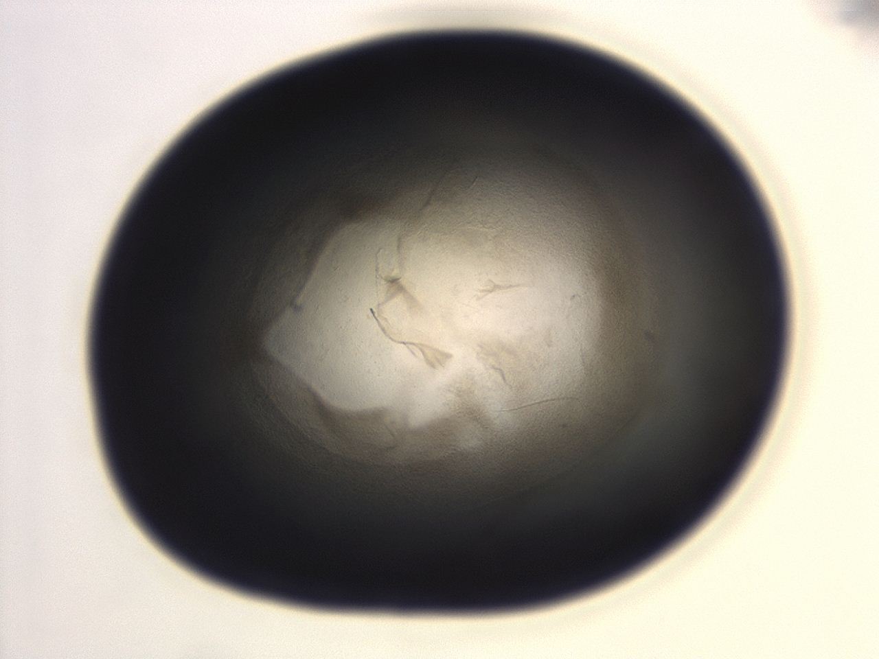 04g7_H10_ImagerDefaults_3.jpg