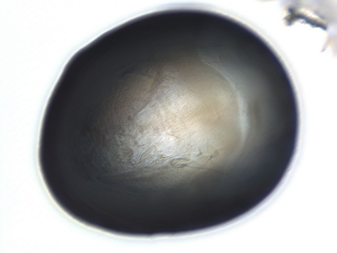 04g7_H12_ImagerDefaults_3.jpg